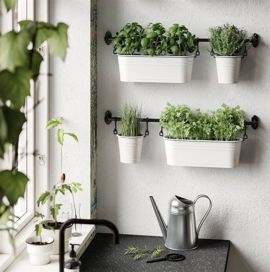 Комнатные растения в интерьере квартиры — 65 фото в стильном оформлении