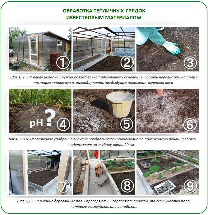 Какая температура должна быть в теплице для огурцов и помидоров