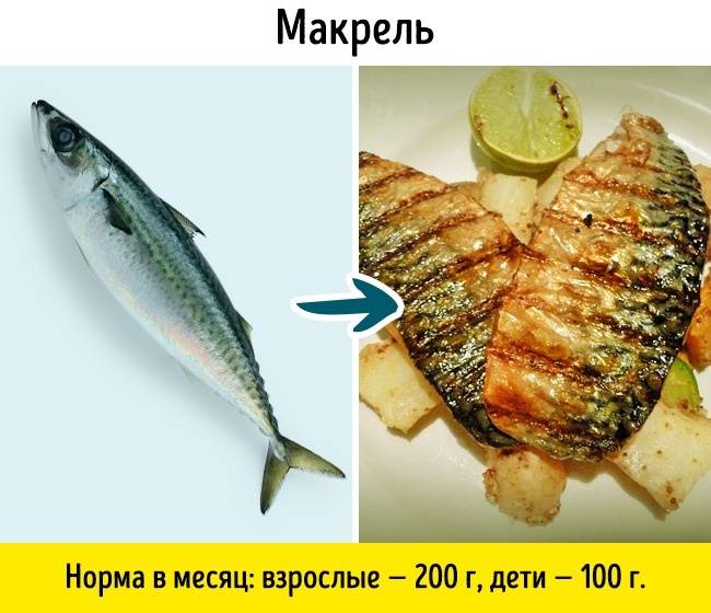 12 видов популярной рыбы, которую нельзя есть вообще