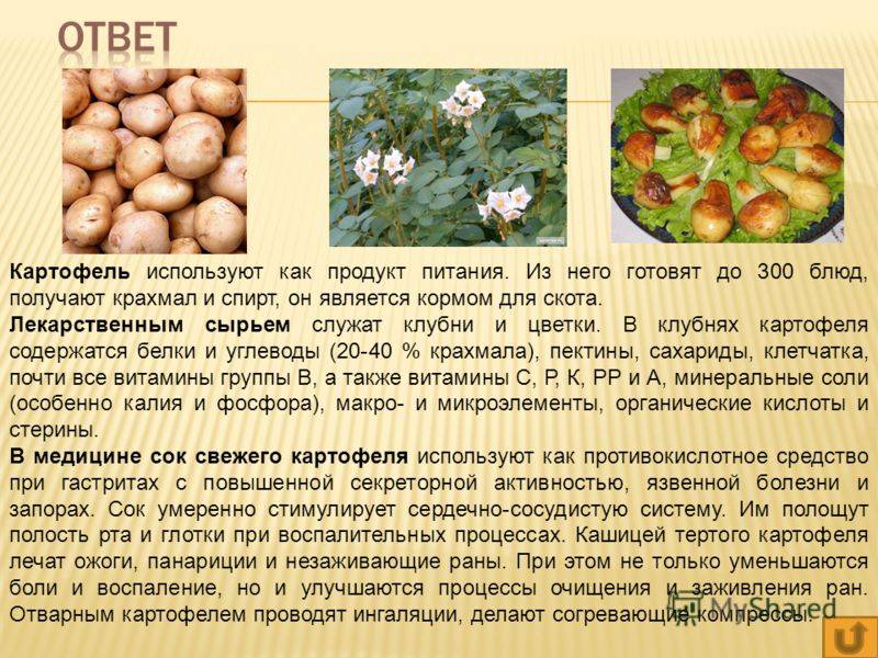 Картофельные очистки как удобрение для растений или средство чистки дымоходов