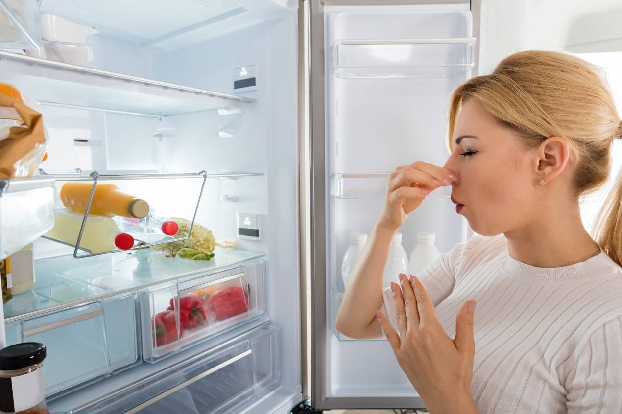 Как убрать запах из холодильника в домашних условиях