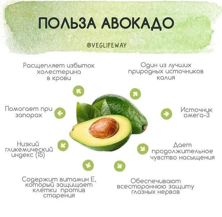 Сколько авокадо можно съедать в день, дневная норма потребления плода