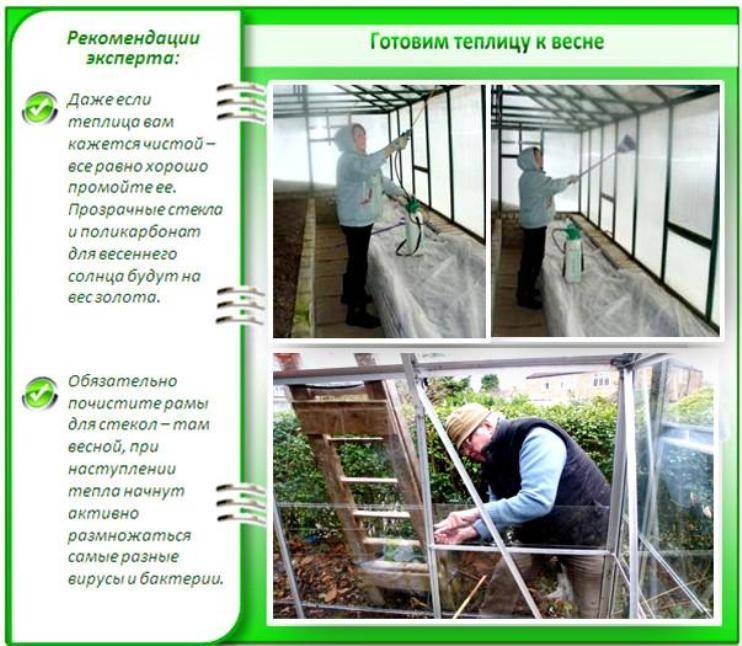Подготовка теплицы осенью для следующего сезона