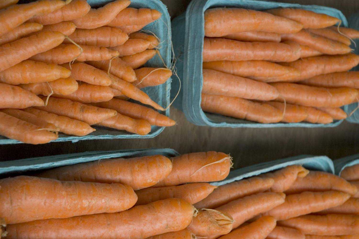 Как лучше хранить морковь. Хранение моркови. Ящик для хранения моркови. Хранение моркови в полиэтиленовых мешках. Корнеплодов моркови хранение.
