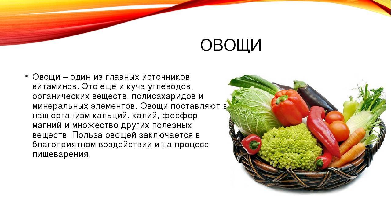 Правила хранения овощей в овощехранилищах