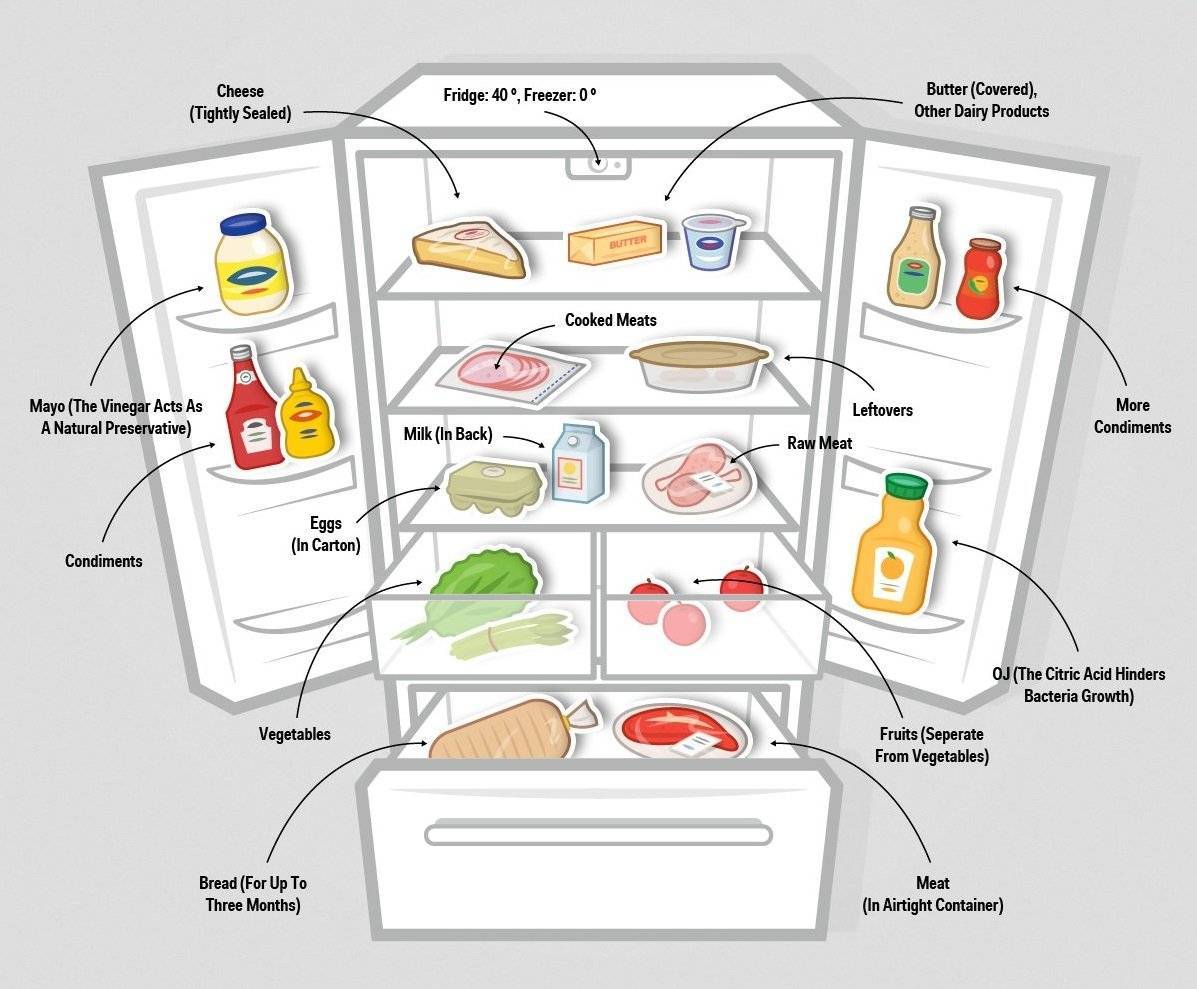 Температура в холодильнике: какая должна быть, как выставить?