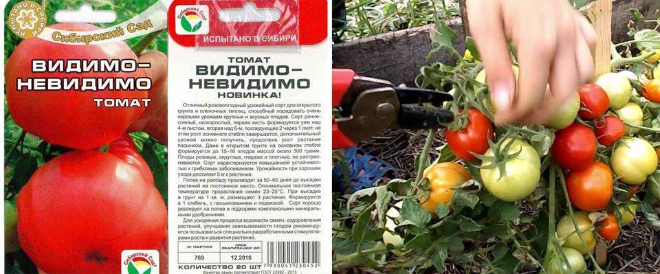 Ранние сорта томатов для теплицы самоопыляемые