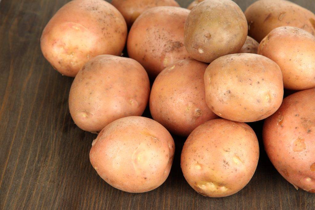 Картофель барин: характеристика сорта, отзывы