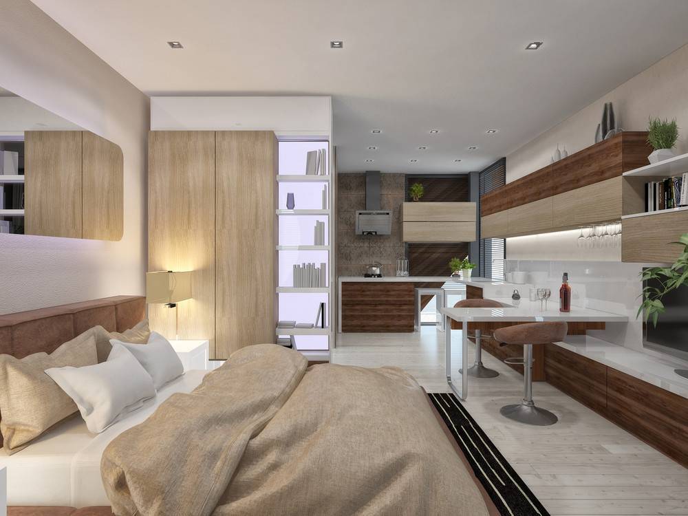 Кухня со спальным местом - 100 фото оригинальных идей уютного и практичного дизайна