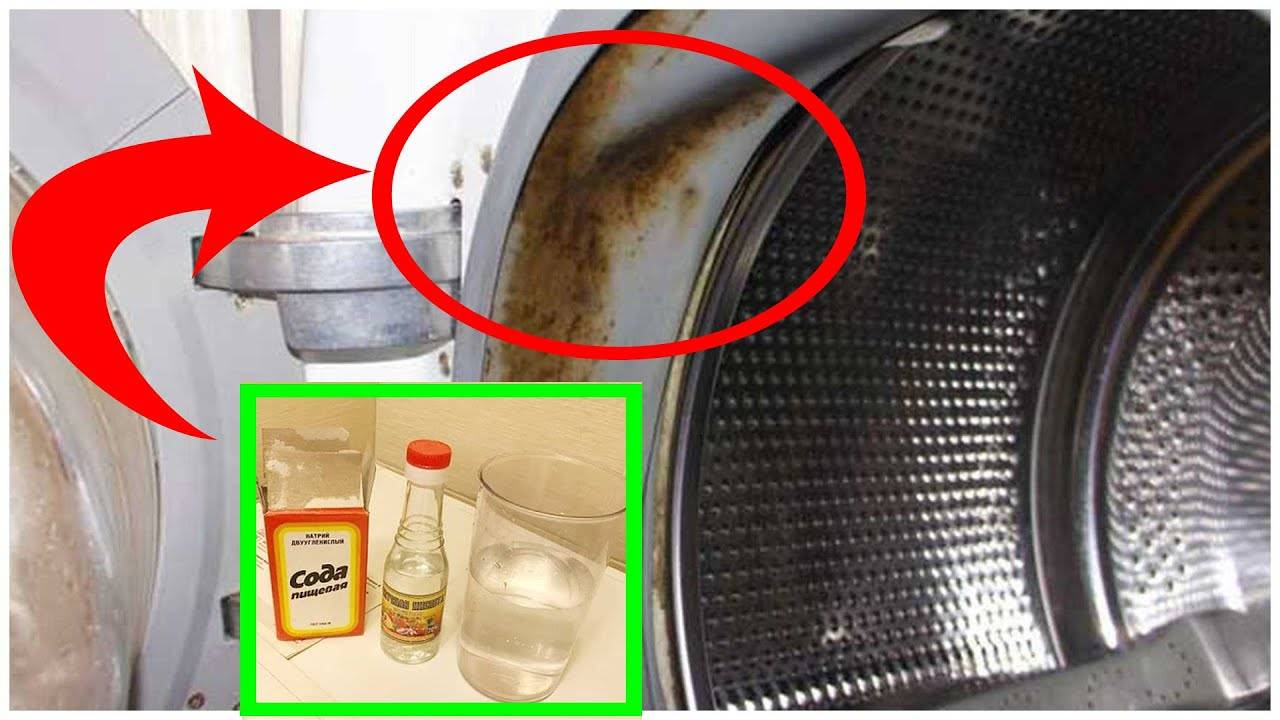 Как почистить стиральную машину домашними средствами от накипи и грязи – 6 шагов