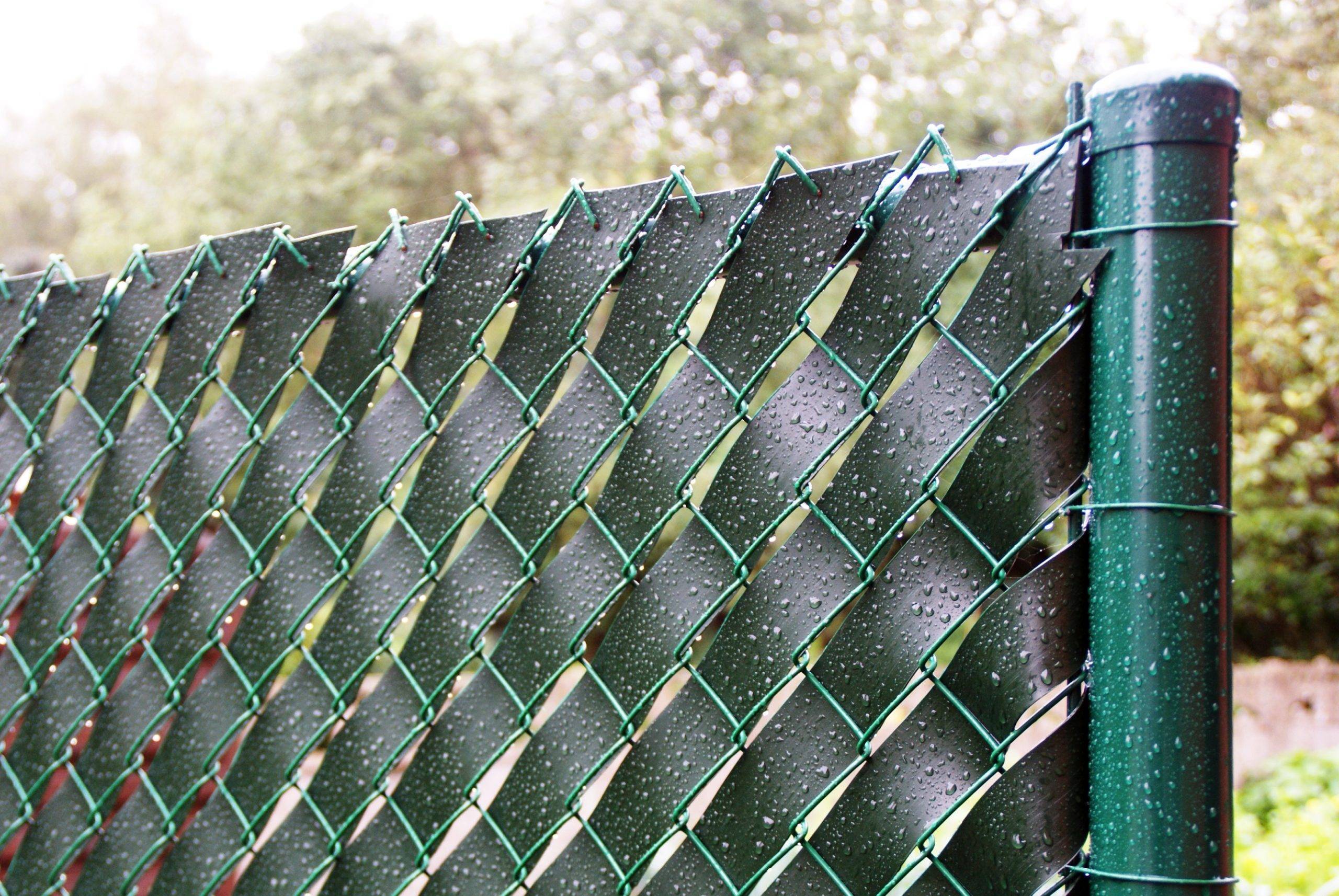Чем закрыть забор из сетки-рабицы от любопытных соседей