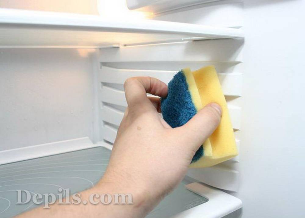 Как избавиться от плесени в холодильнике быстро и эффективно?
