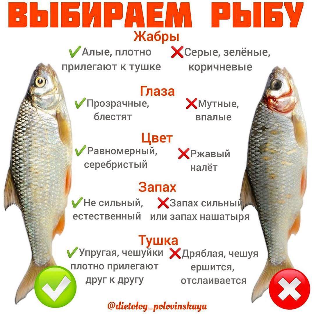Важно знать. 9 видов рыбы, которую лучше не есть