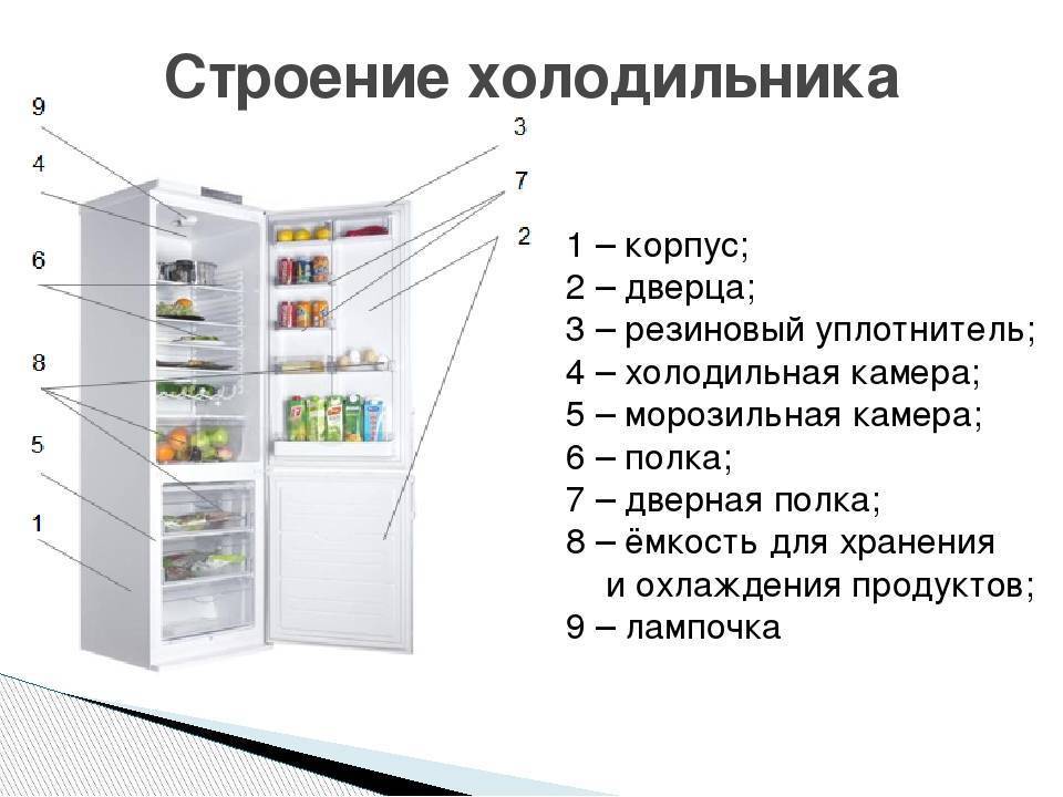 Принцип работы холодильника. состав бытового холодильника